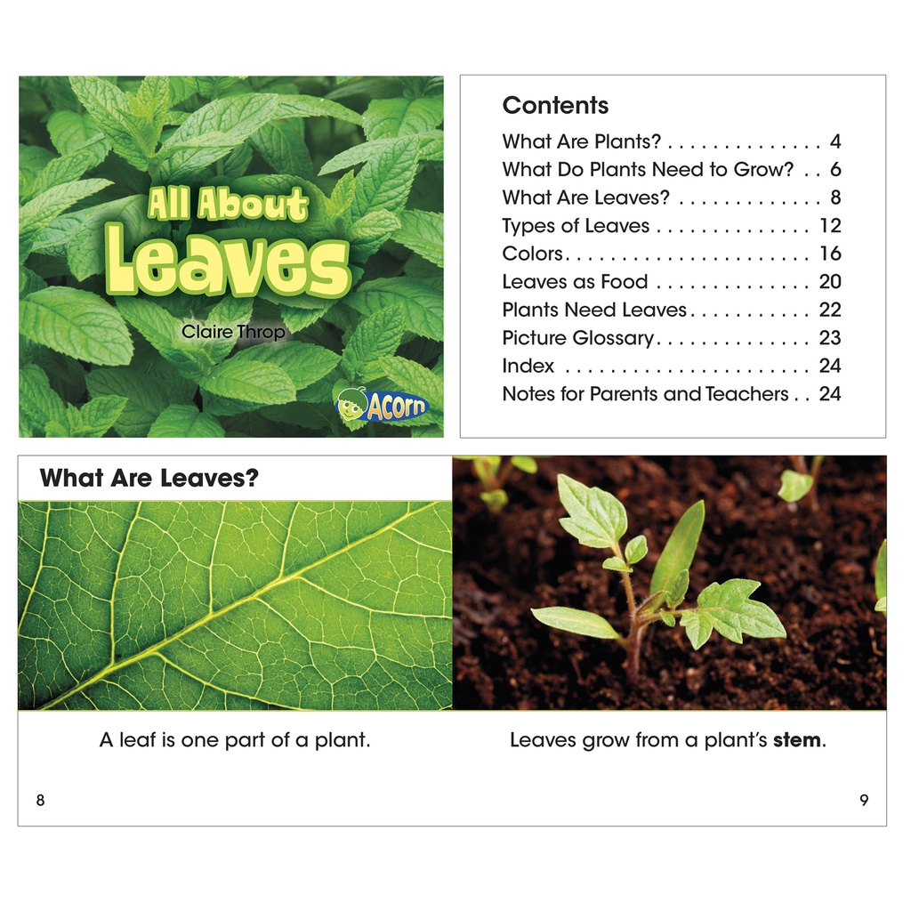 All About Plants Book Set of 5