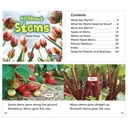 All About Plants Book Set of 5