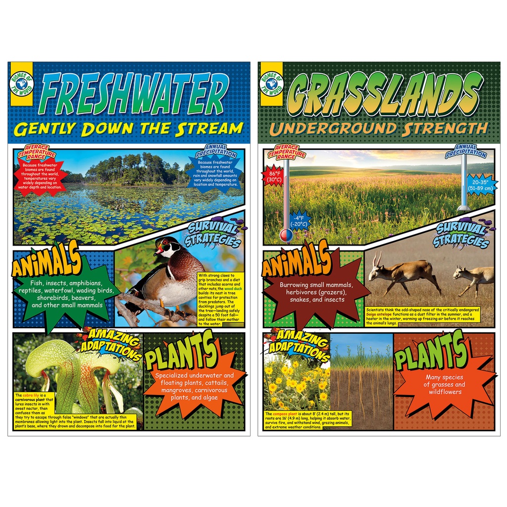 Biomes Bulletin Board Set