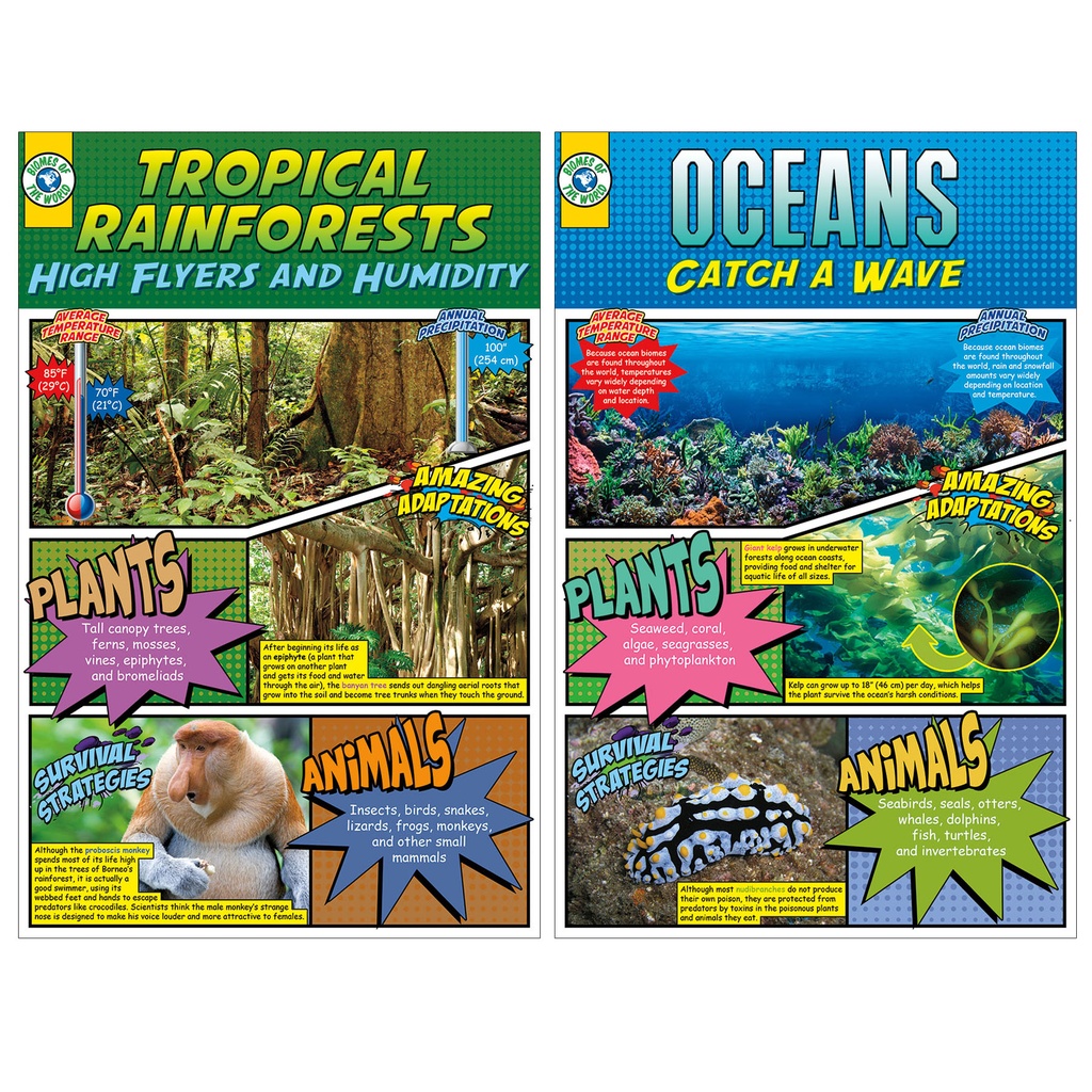 Biomes Bulletin Board Set