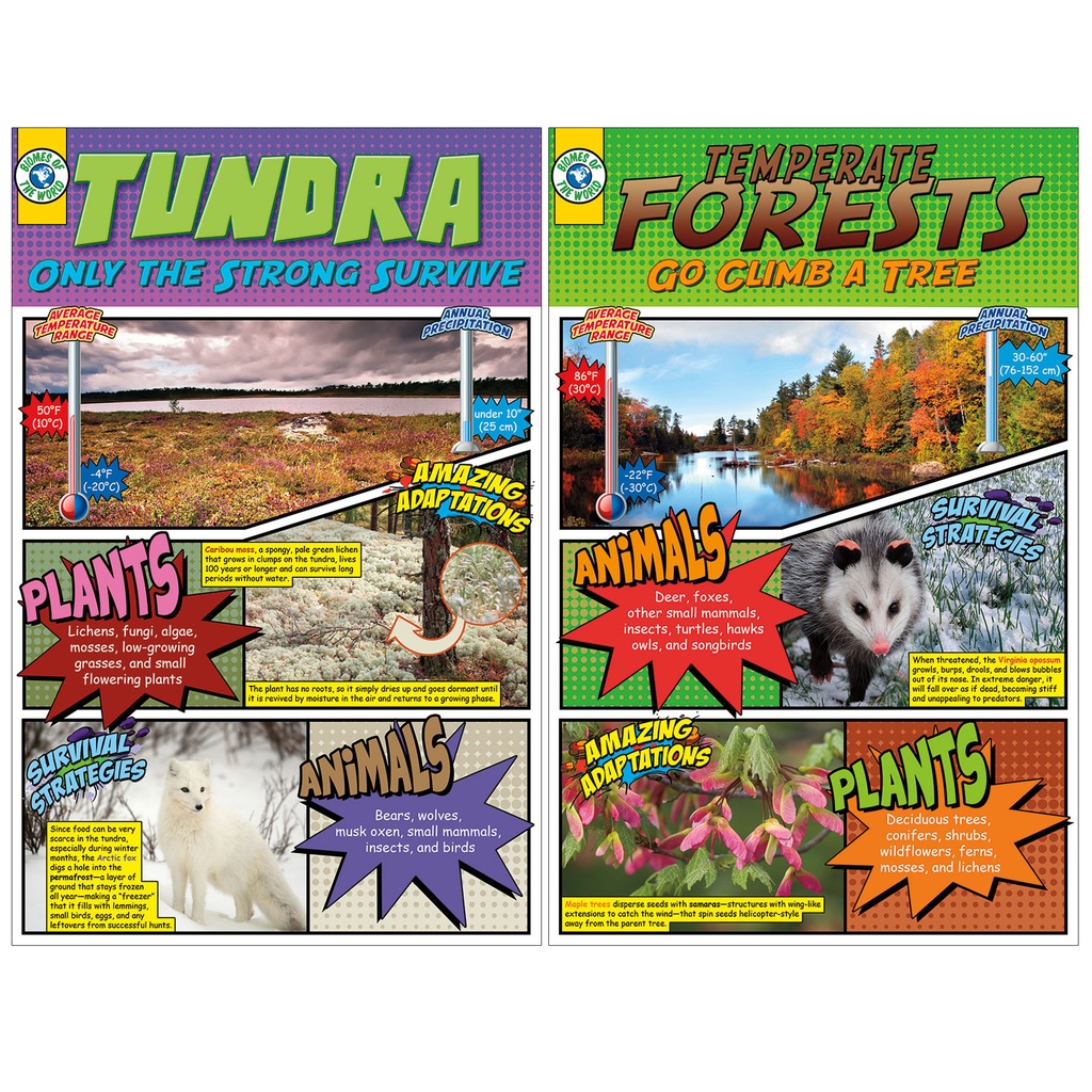 Biomes Bulletin Board Set