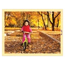 Change of Seasons Wooden 8 Puzzle Set