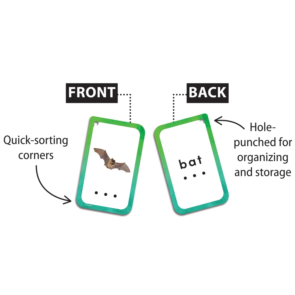 Decoding CVC Words Flash Cards