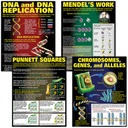 DNA & Heredity Posters Set of 4