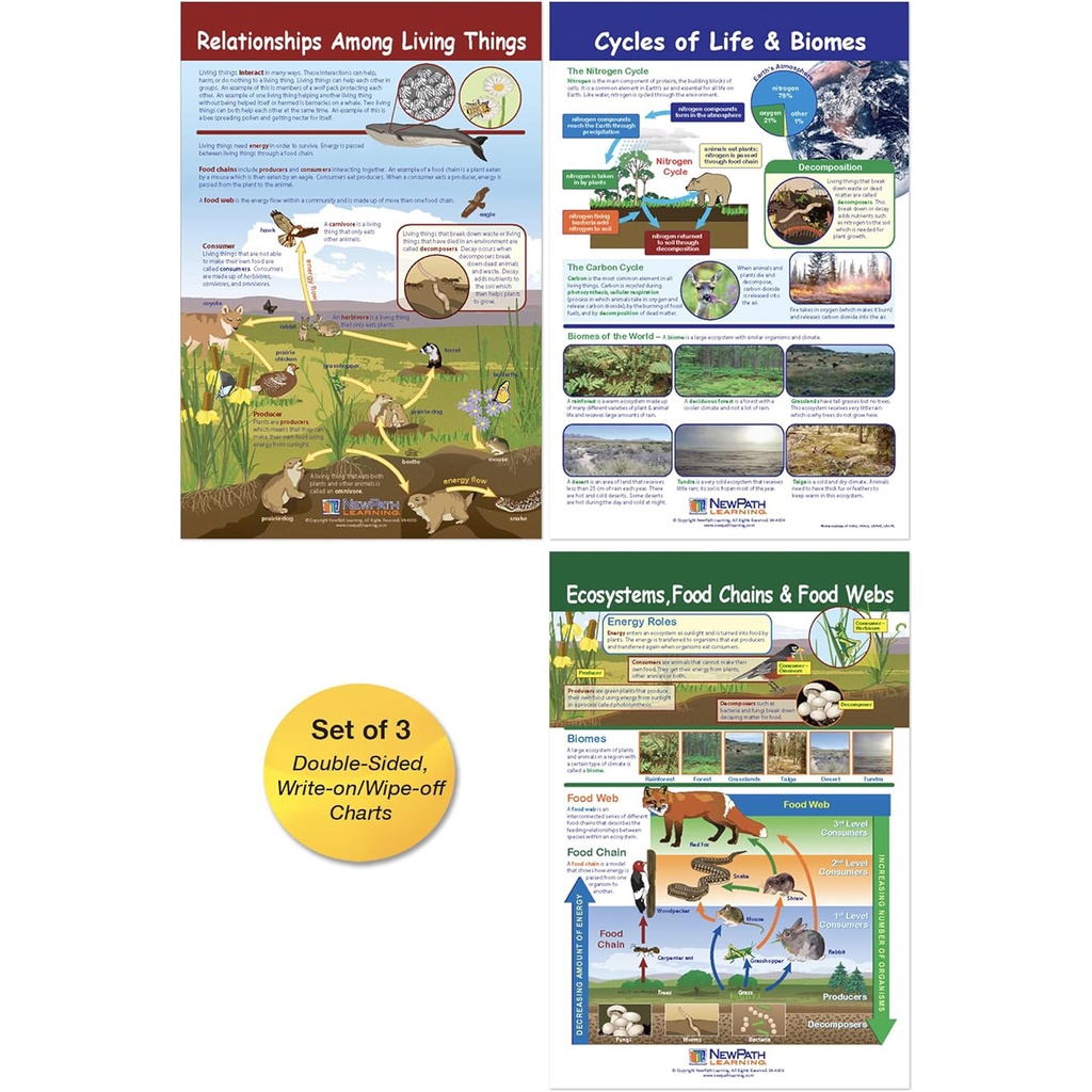 Ecology Bulletin Board Chart Set Grades 3-5