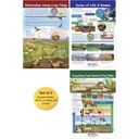 Ecology Bulletin Board Chart Set Grades 3-5