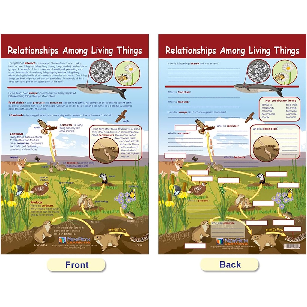 Ecology Bulletin Board Chart Set Grades 3-5