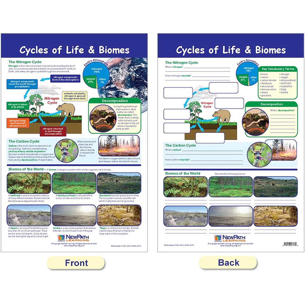 Ecology Bulletin Board Chart Set Grades 3-5