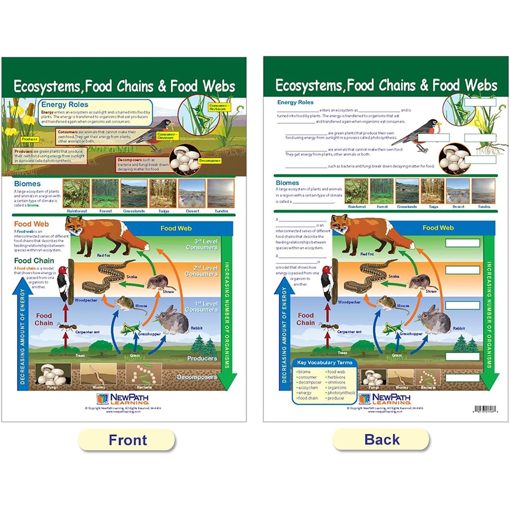 Ecology Bulletin Board Chart Set Grades 3-5