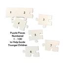 I SPY® Treasure Hunt 100-Piece Search and Find Puzzle