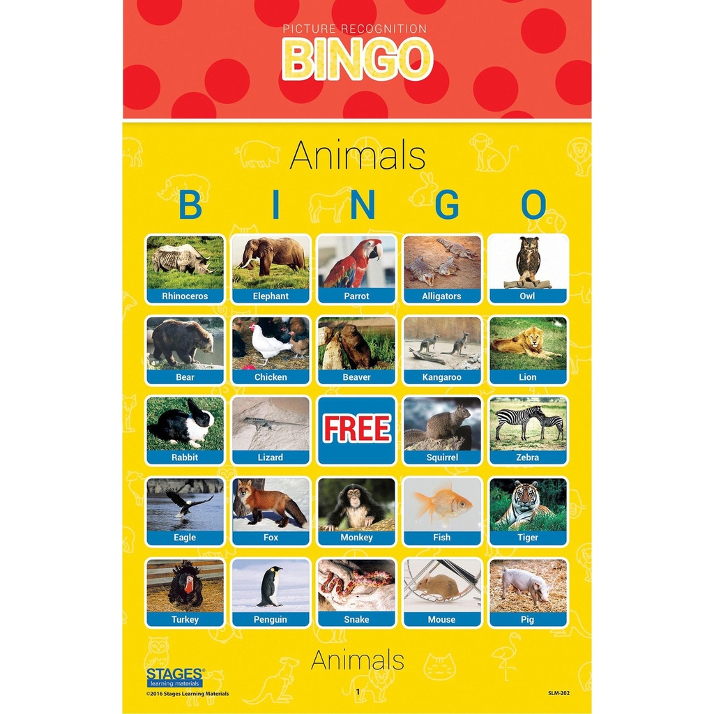 Picture Recognition Bingo Games Set of all 5