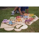 Rainbow Wooden Vehicles