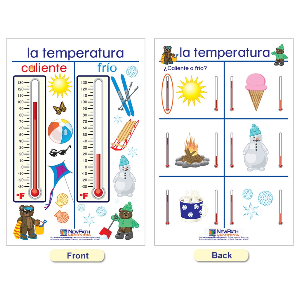 Spanish Measurement Bulletin Board Chart Set of 5