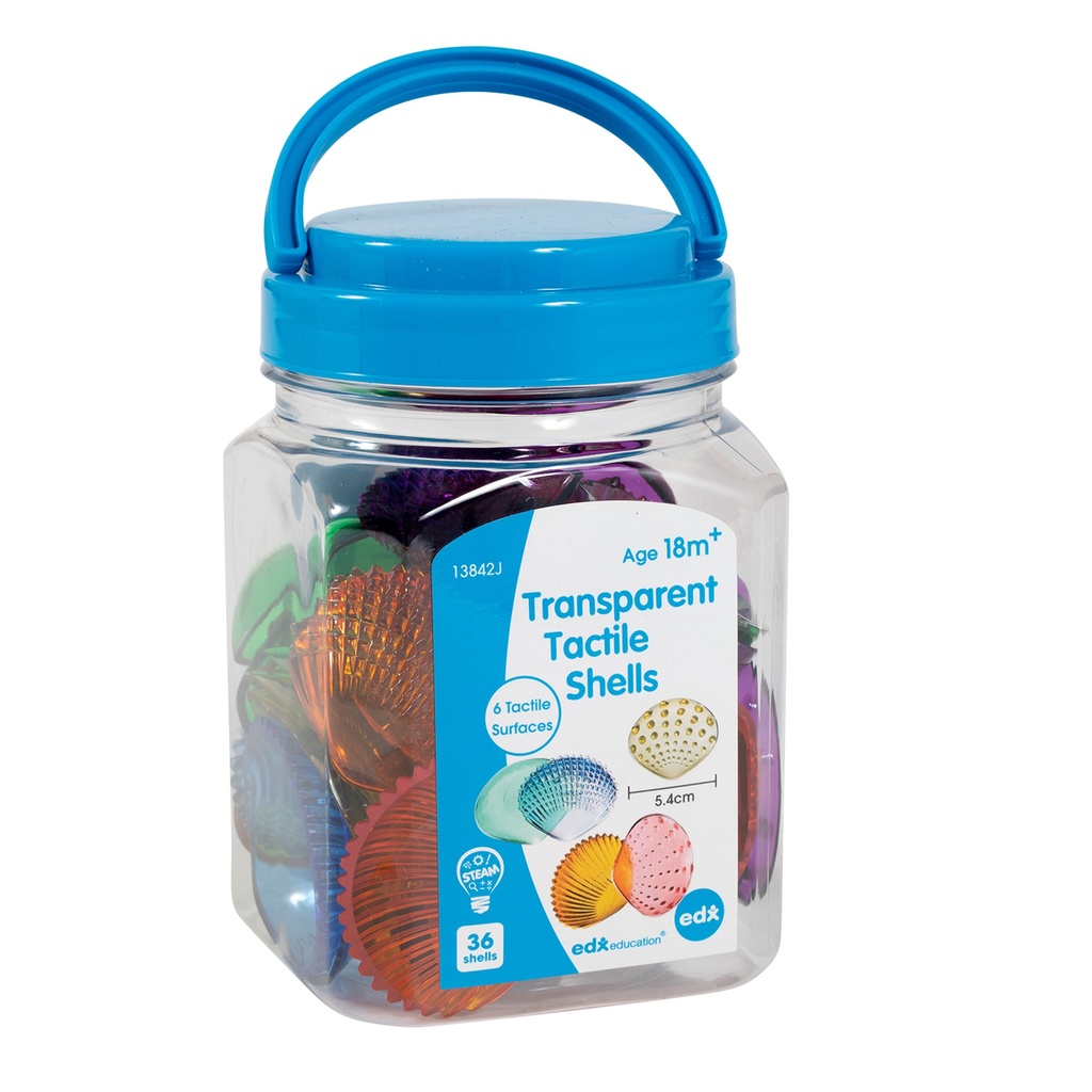 Transparent Tactile Shells Mini Jar Set of 36