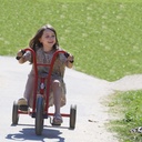 Viking Tricart Tricycle