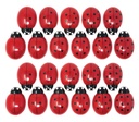 Ladybugs Counting Set