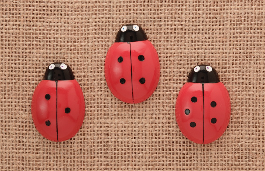 Ladybugs Counting Set