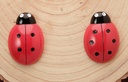 Ladybugs Counting Set