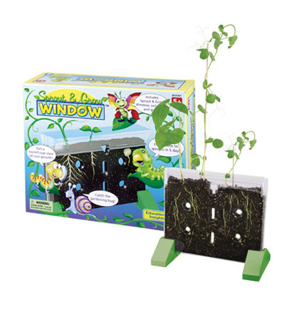 Sprout and Grow Window