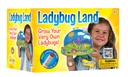 Ladybug Land