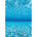 Better Than Paper® Under The Sea Bulletin Board Roll Pack of 4