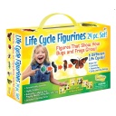 Life Cycle Figurines 24 Piece Set