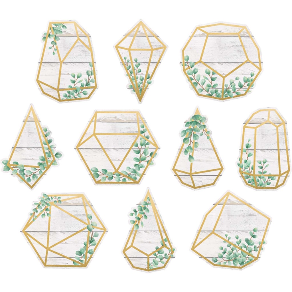 Eucalyptus Geometric Terrariums Accents