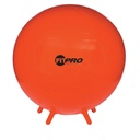 FitPro 75cm Ball with Stability Legs