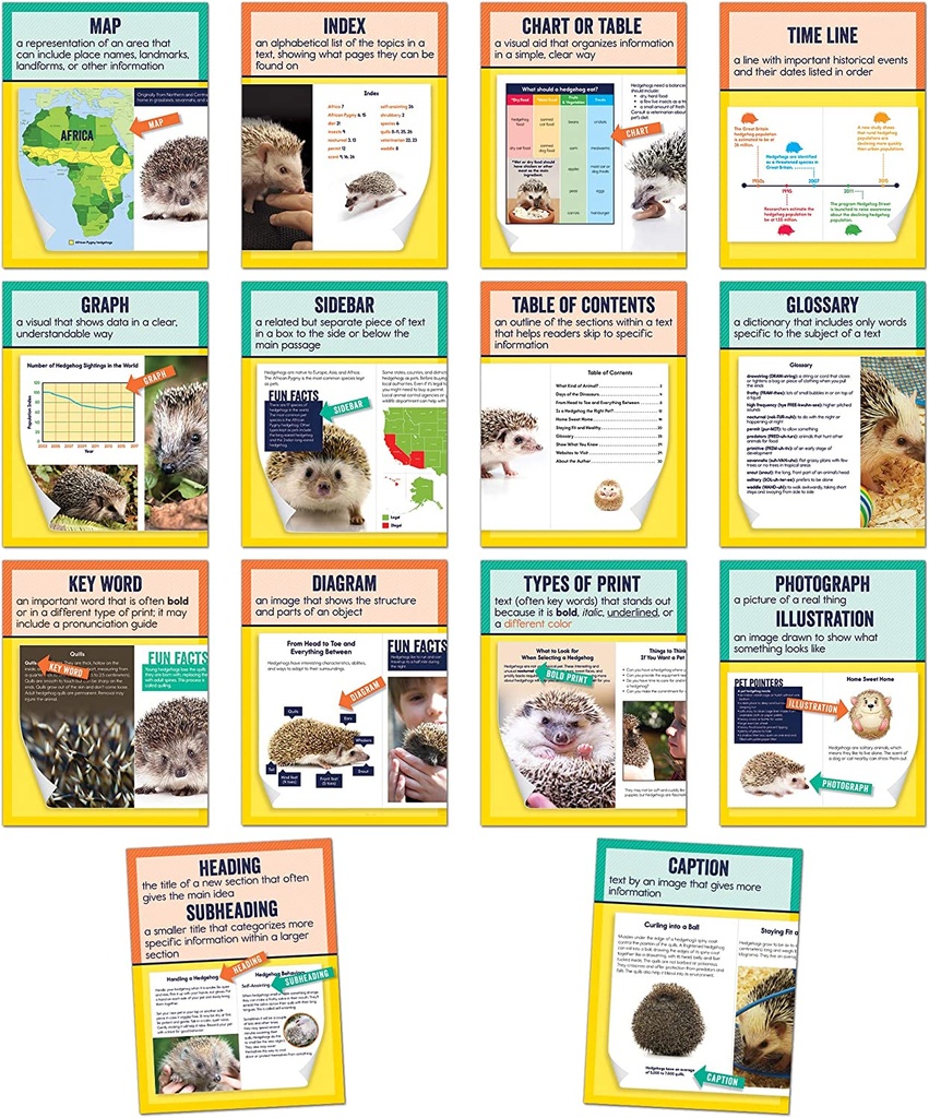 Mini Posters: Nonfiction Text Features Poster Set Grade 1-6