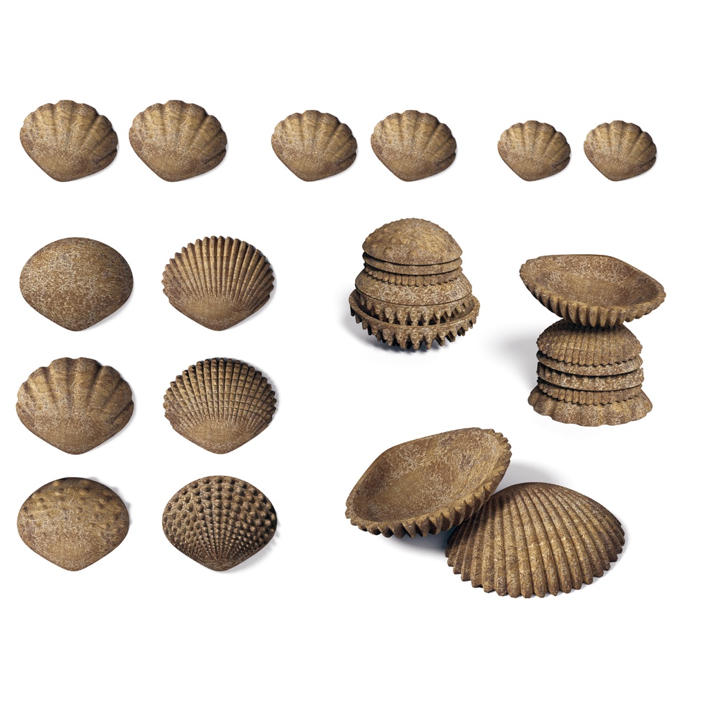 36ct Tactile Shells Ages - 18m+