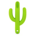 Cactus Toothbrush Teether