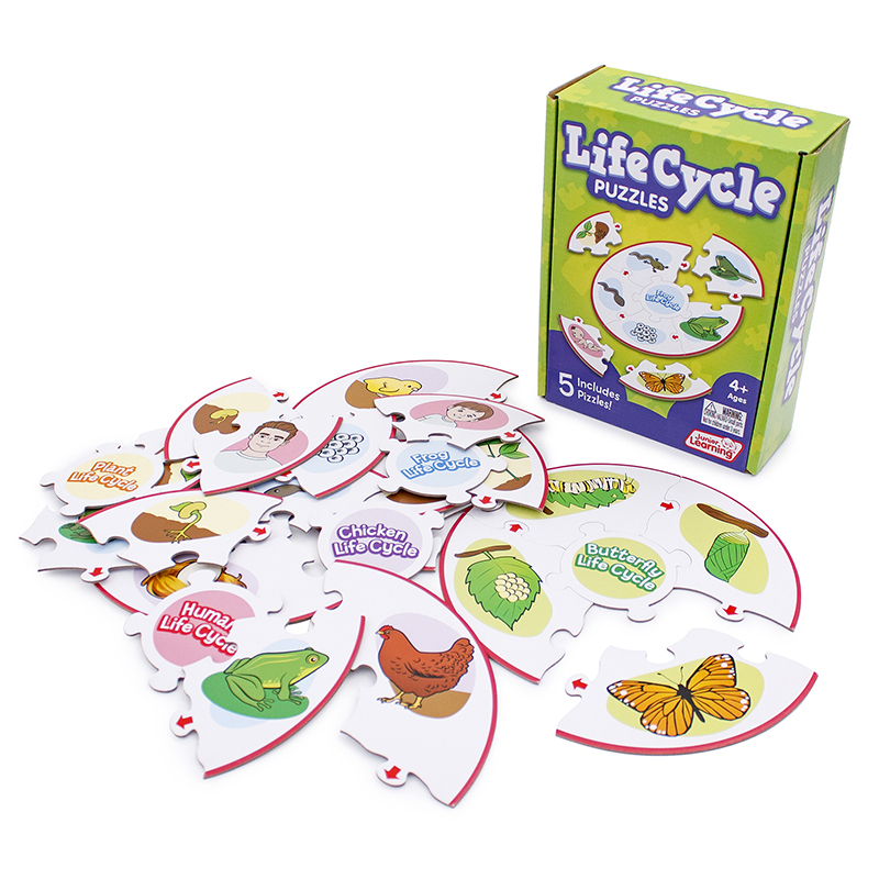 Life Cycle Puzzles