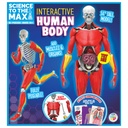 Interactive Human Body