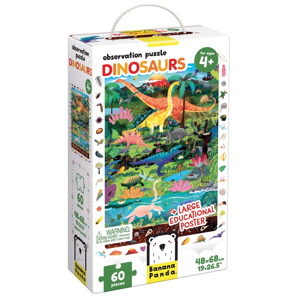 Observation Puzzle Dinosaurs