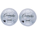 Silver Extreme Size 4 Soccer Balls 2ct