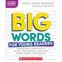 Big Words for Young Readers Professional Book