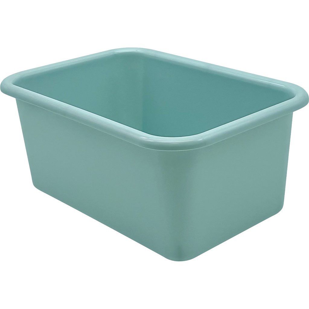 Small Plastic Storage Bin