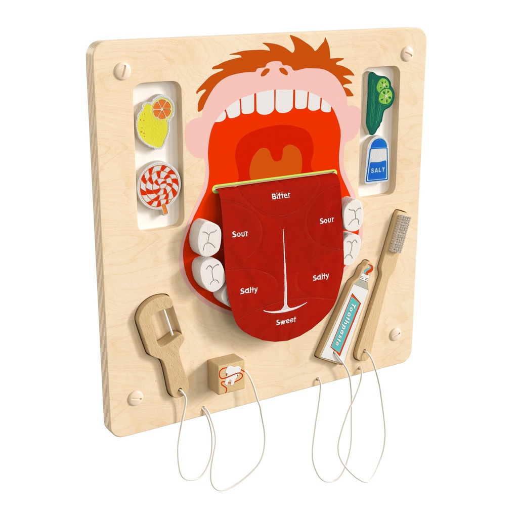 Dental Hygiene Activity Board Accessory Panel