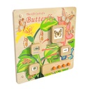 Butterfly Life Cycle Activity Board Accessory Panel