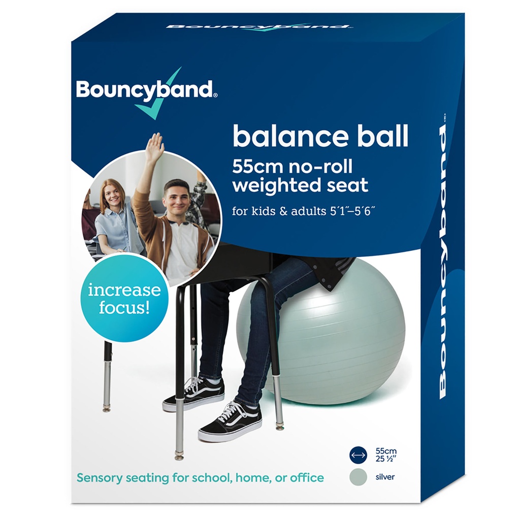 Balance Ball, 55cm, Silver