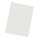 White 9" x 12" 1/4" Quadrille Ruled Grid Ruled Drawing Paper 500 Sheets