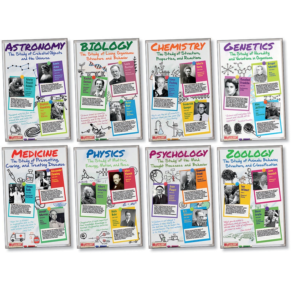 Scientists Bulletin Board Set