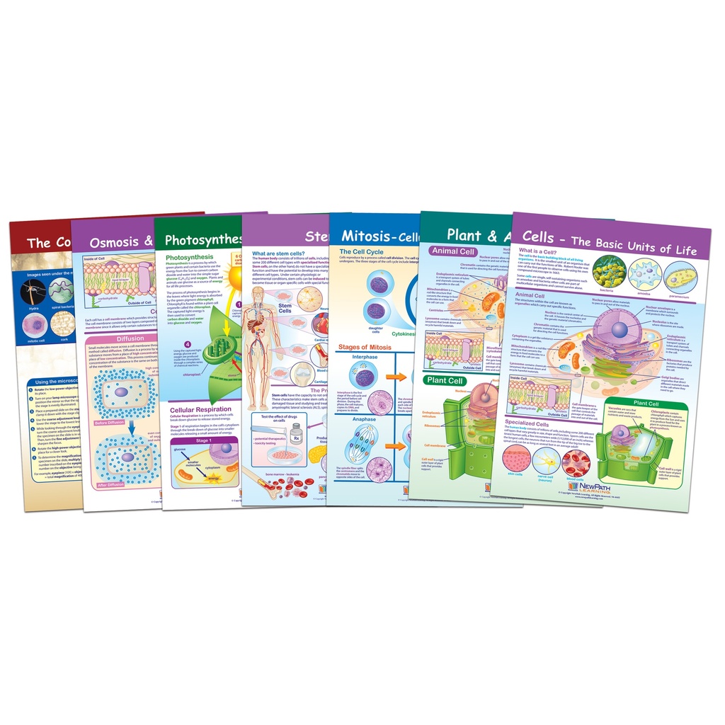 Cells Bulletin Board Chart Set Grades 3-5