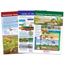 Ecology Bulletin Board Chart Set Grades 3-5