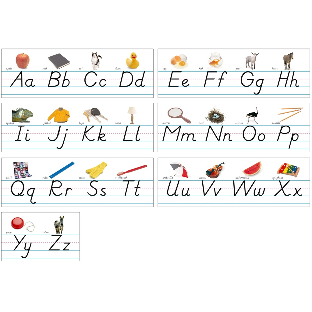 Photo & Modern Manuscript Alphabet Lines Bulletin Board Set