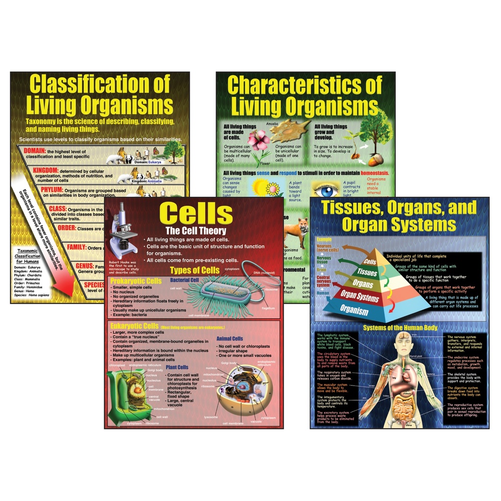 Living Organisms Posters Set of 4