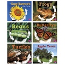 Explore Life Cycles Set of 6 books