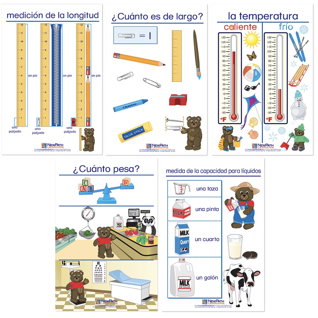 Spanish Measurement Bulletin Board Chart Set of 5