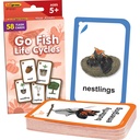 Go Fish: Life Cycles Flash Cards