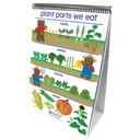 All About Plants Early Childhood Science Readiness Flip Charts